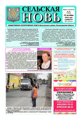 Сельская новь (15 октября 2016) 40 (12343)