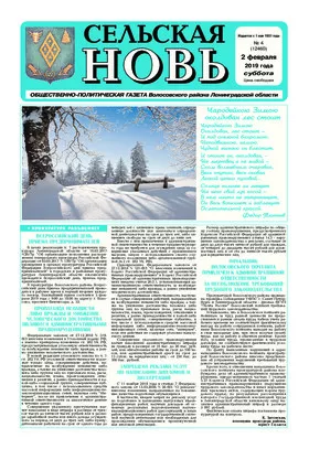 Сельская новь (2 февраля 2019 года) 4 (12460)