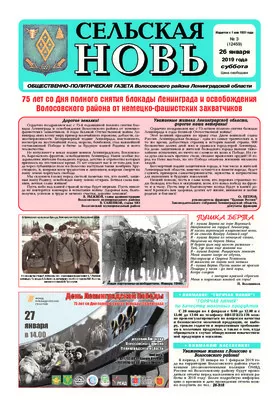 Сельская новь (26 января 2019 года) 3 (12459)