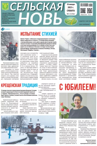 Сельская новь (18 января 2025 года) 2 (12764)