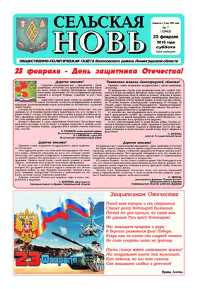 Сельская новь (23 февраля 2019 года) 7 (12463)