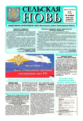 Сельская новь (10 ноября 2018 года) 44 (12449)
