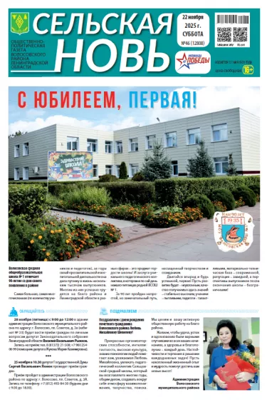 Сельская новь (22 ноября 2025 года) 46 (12808)