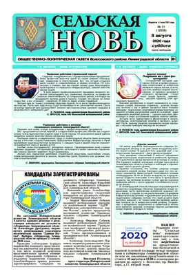 Сельская новь (8 августа 2020 года) 31 (12538)