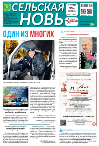 Сельская новь (25 октября 2025 года) 42 (12804)