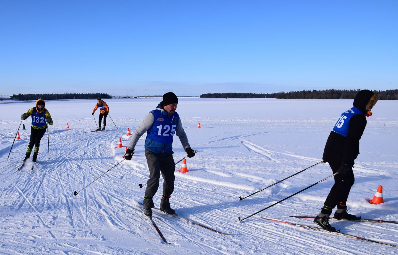 Лыжники Волосовского района поедут на областные соревнования