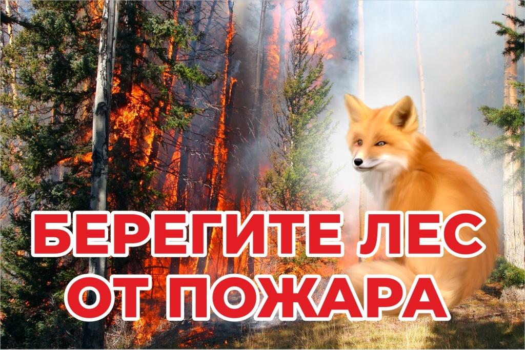 Огонь угрожает лесу!