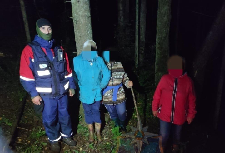Спасатели вывели из леса около деревни Хотнежа трех заблудившихся пожилых женщин