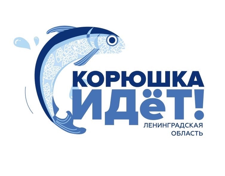 Традиционный фестиваль «Корюшка идёт!» состоится в Волховском районе 13 мая