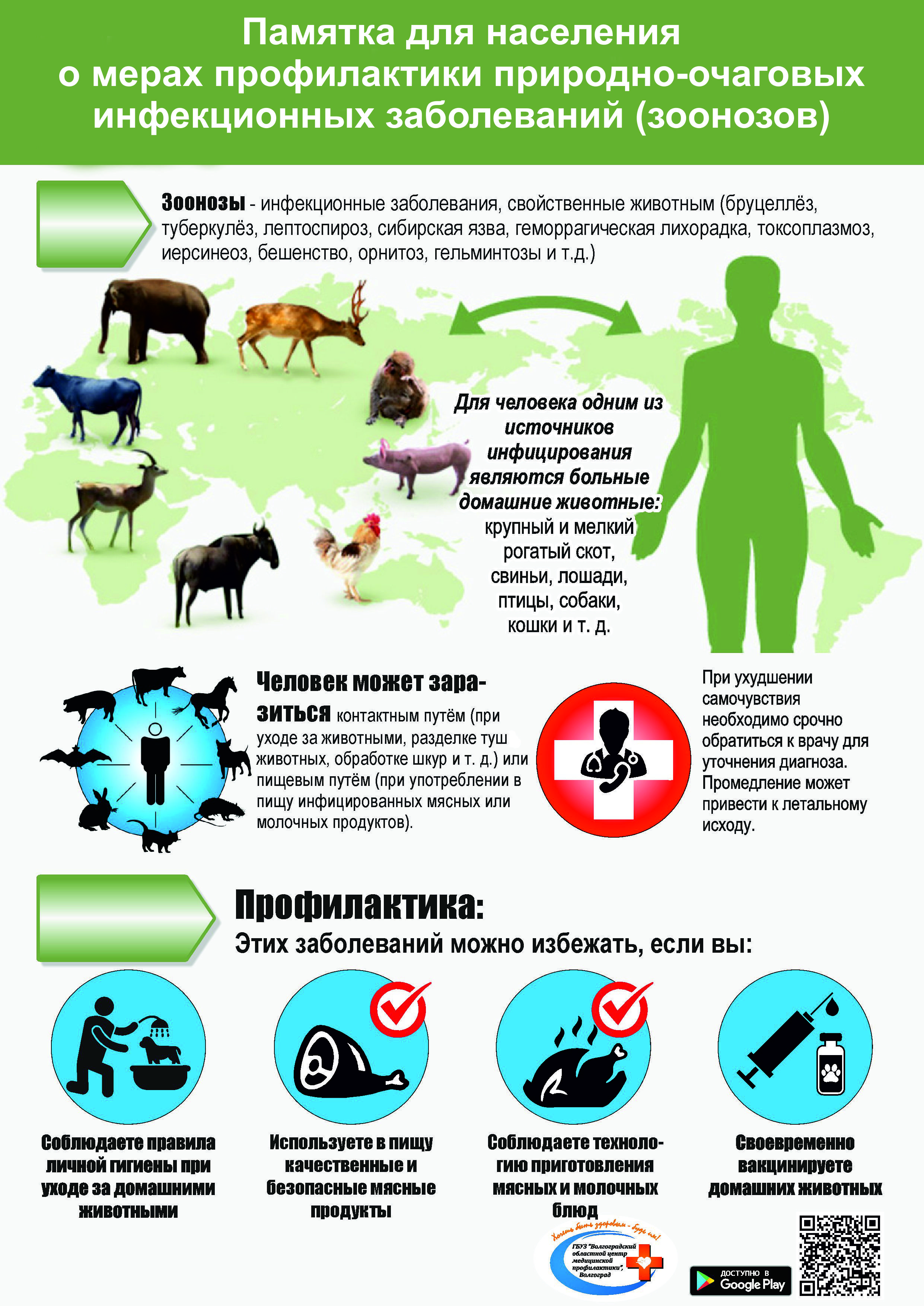 Памятка для населения о мерах профилактики природно-очаговых инфекционных заболеваний (зоонозов)