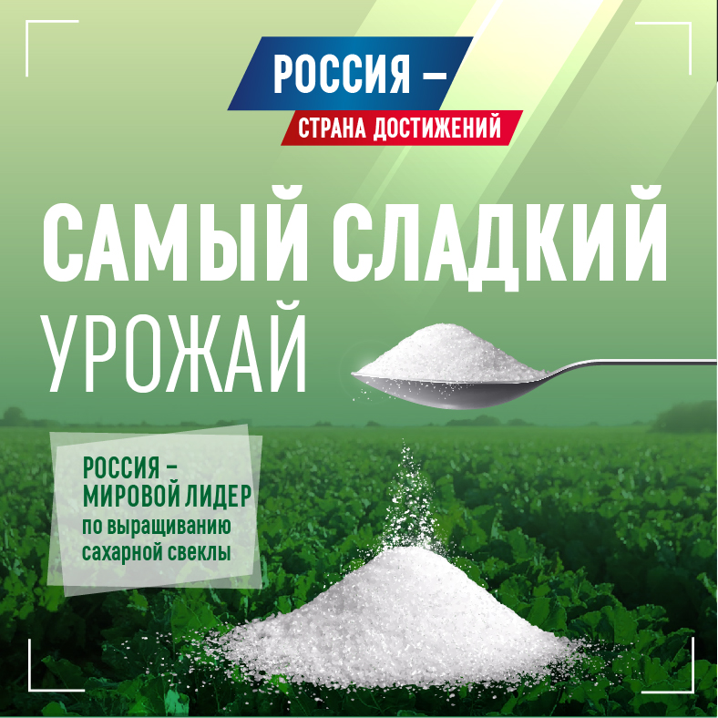 Достижения России: сахарная свекла