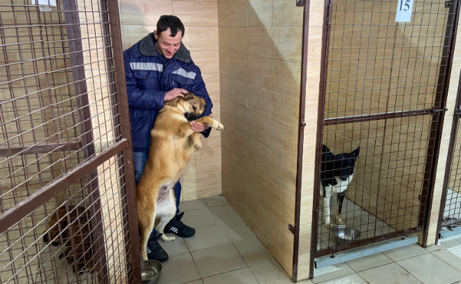 В Волосовском районе заработал Центр временного содержания бездомных животных