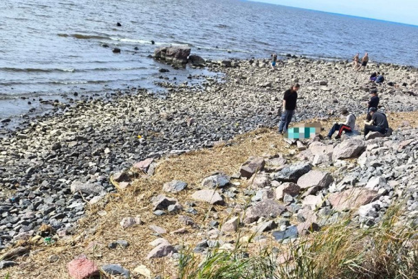 В Финском заливе было обнаружено тело подростка