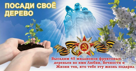 Жителей Ленинградской области приглашают присоединиться к Всероссийской акции «Во имя любви, вечности и жизни»