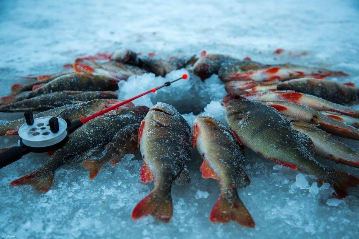 На зимней рыбалке